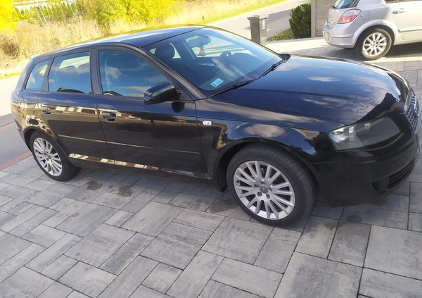 Audi A3 cena 13800 przebieg: 365088, rok produkcji 2007 z Pleszew małe 137